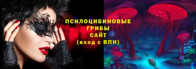 Псилоцибиновые грибы мухоморы  что такое   Болгар 